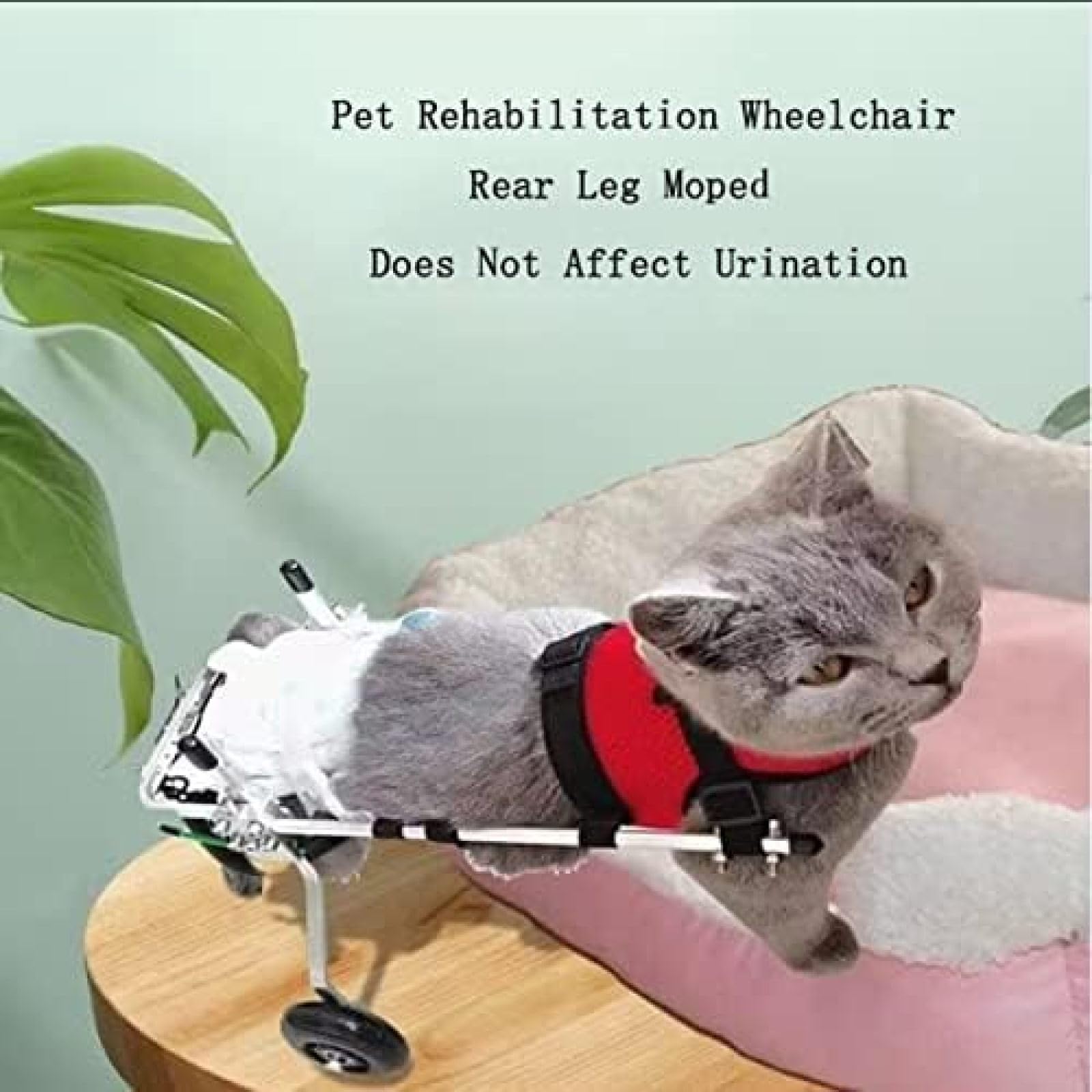 Amazon.co.jp : 小型犬用車椅子、障害のある犬、猫、ウサギのリハビリ